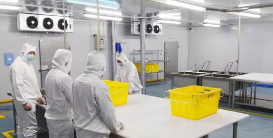 净菜加工"QQ截图20200609095227.jpg"/