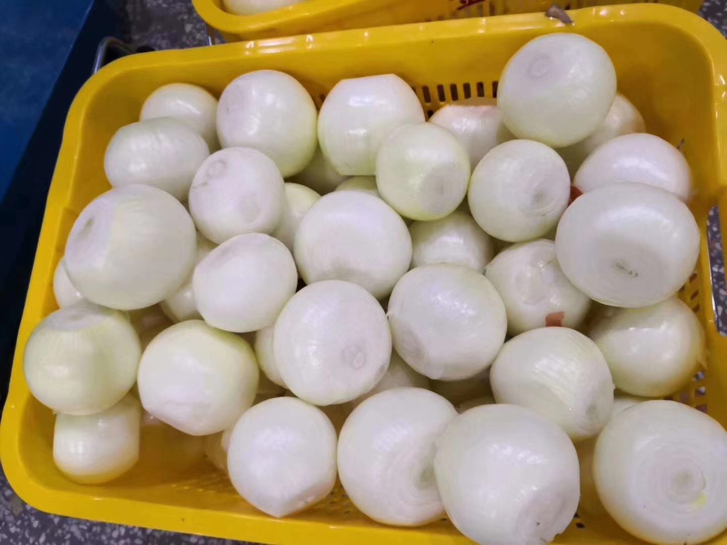 1595908163800372.jpg 微信图片_20200110103335.jpg