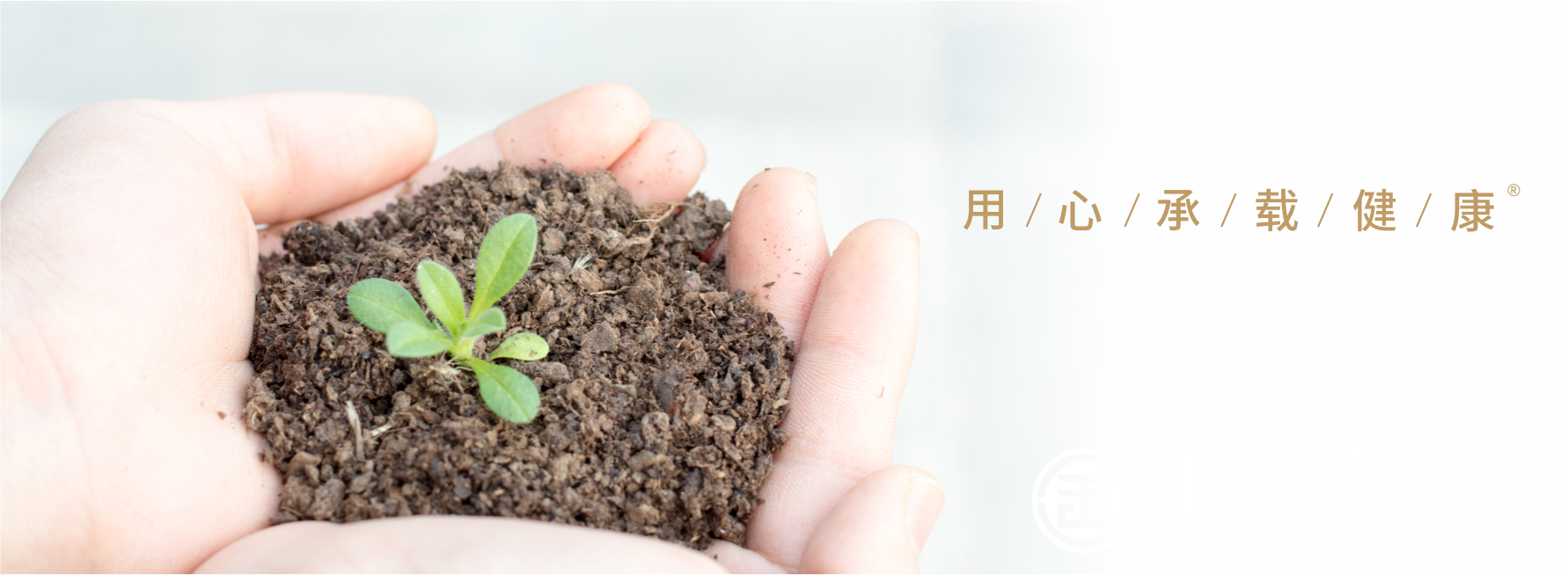 1634537416408175.png 1634537416408175.png