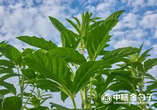 1656639243168212.png 图片1.png