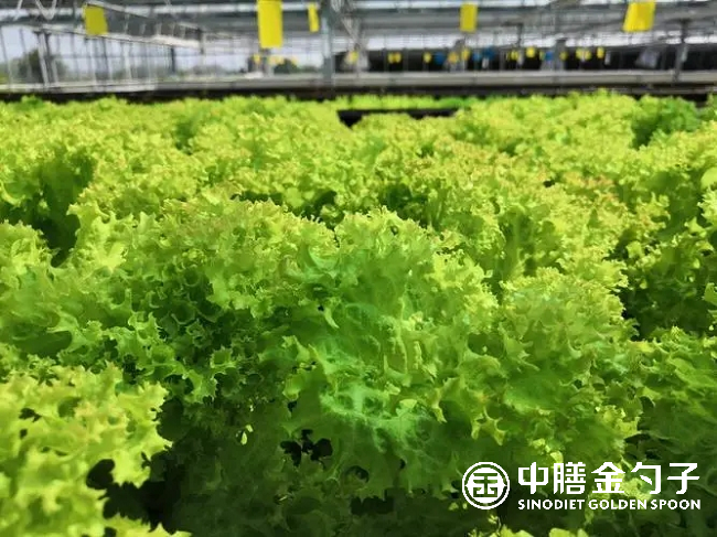 1658538711196235.png 图片2.png