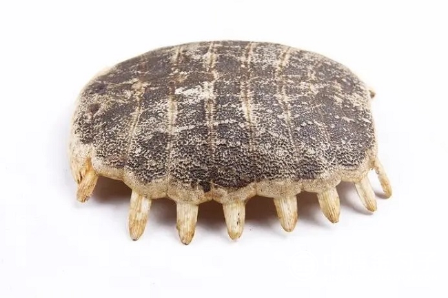 1659316062113014.png 图片1.png