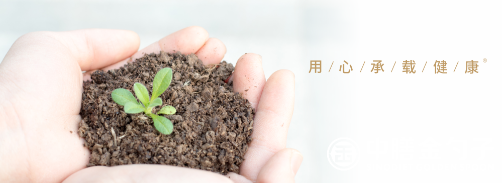 1669186271180426.png 顶关注.png